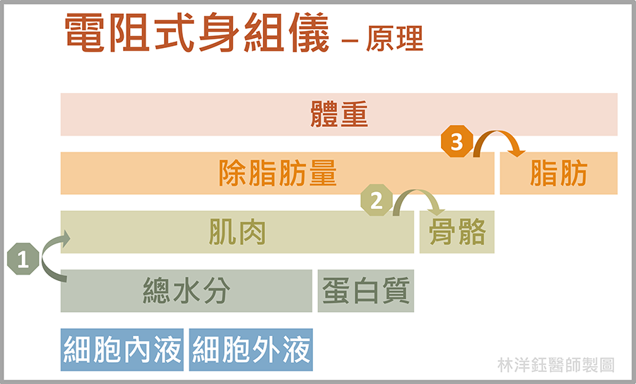 為什麼InBody測量體脂會不準?
