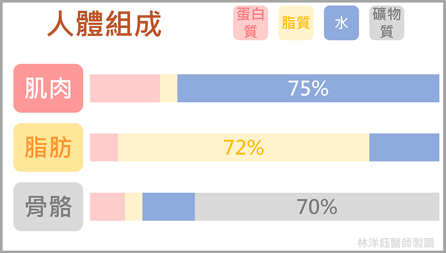 為什麼InBody測量體脂會不準?